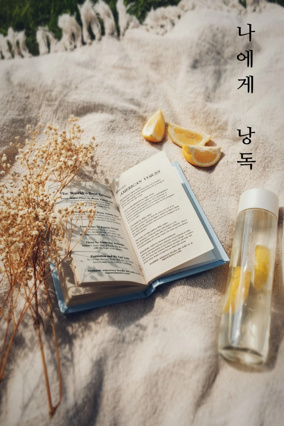 SE-517cda1f-4fa5-455b-9b89-a522bc9f160a.jpg?type=w966