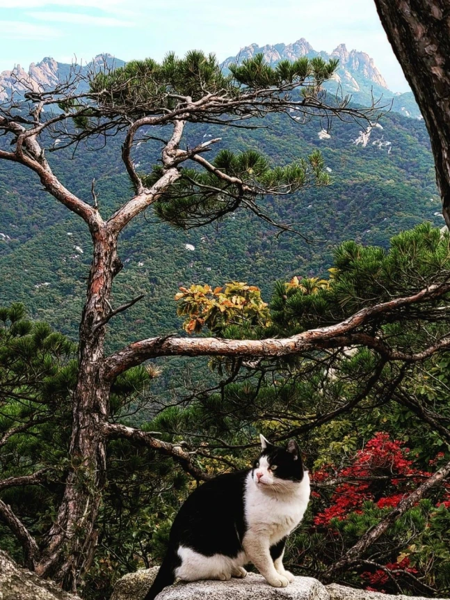 0000964222_002_20220403093903942.png?type=w647