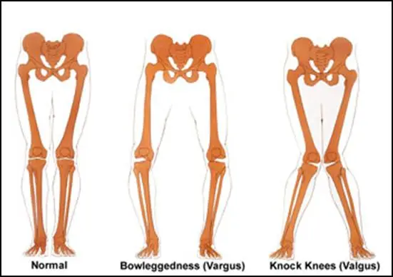 16_cafe_2008_10_16_23_32_48f750730ec11