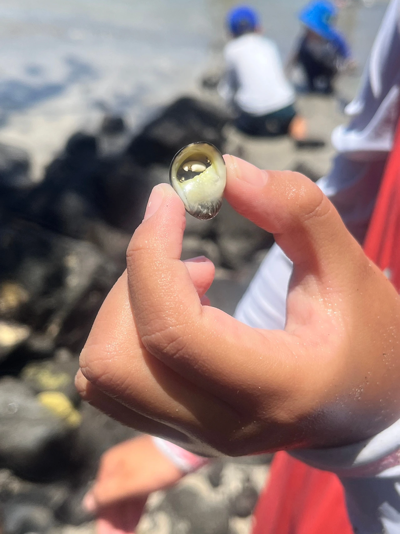 KakaoTalk_Photo_2023-10-05-08-16-12 003.jpeg