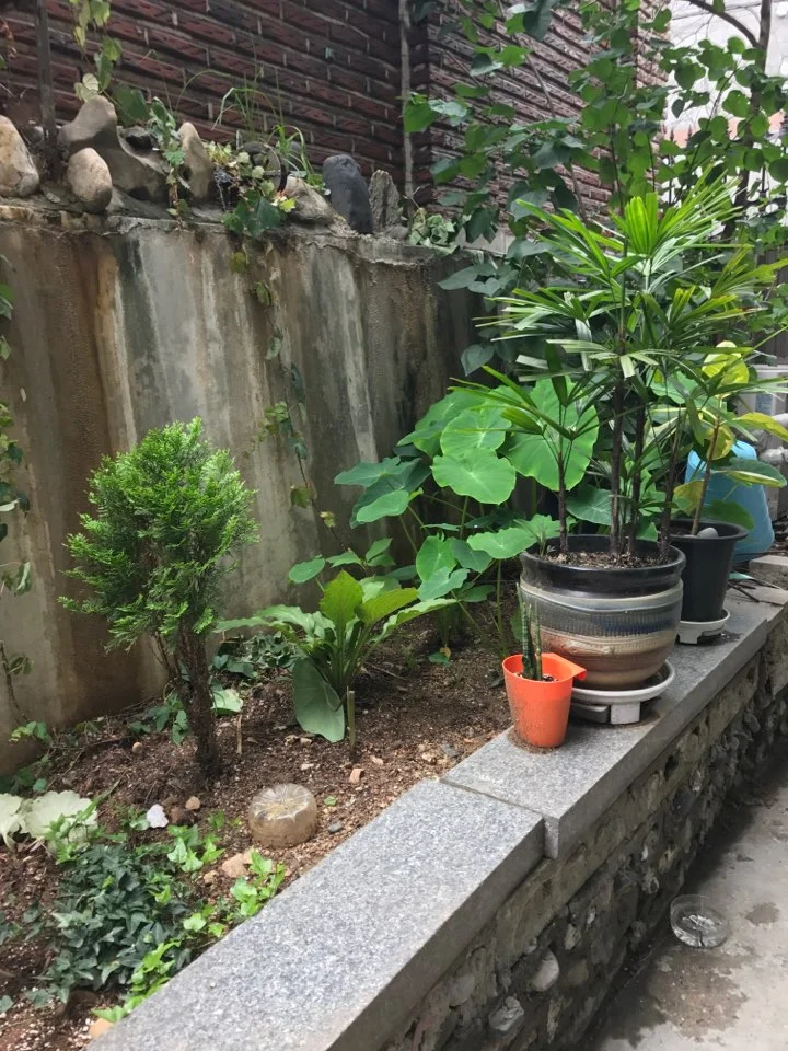 KakaoTalk_20200604_212329046.jpg?type=w773