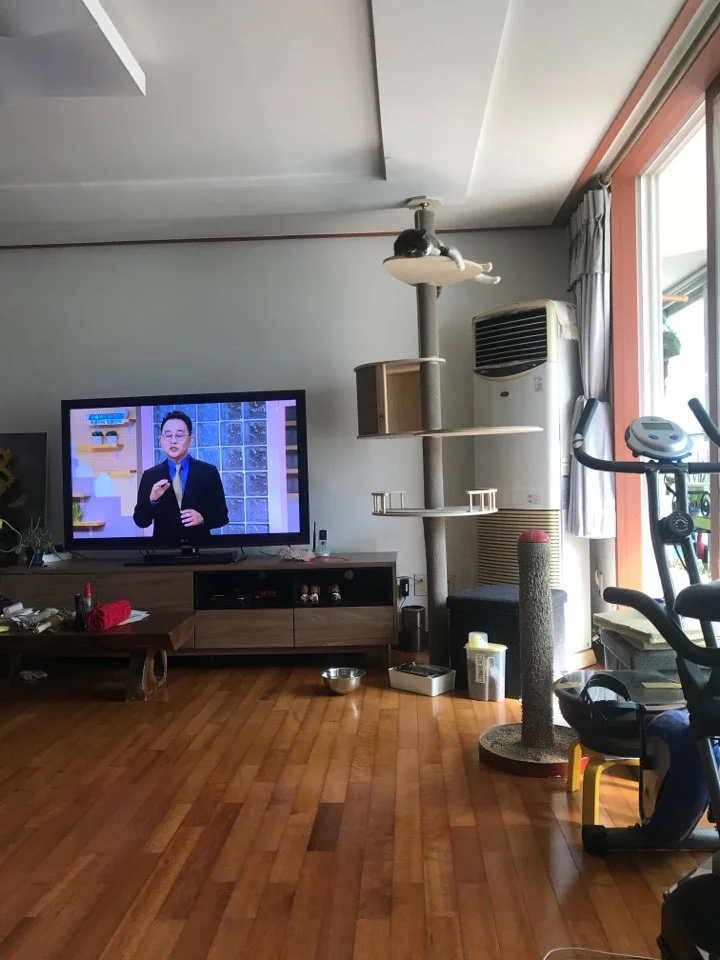 KakaoTalk_20200605_135630015.jpg?type=w773