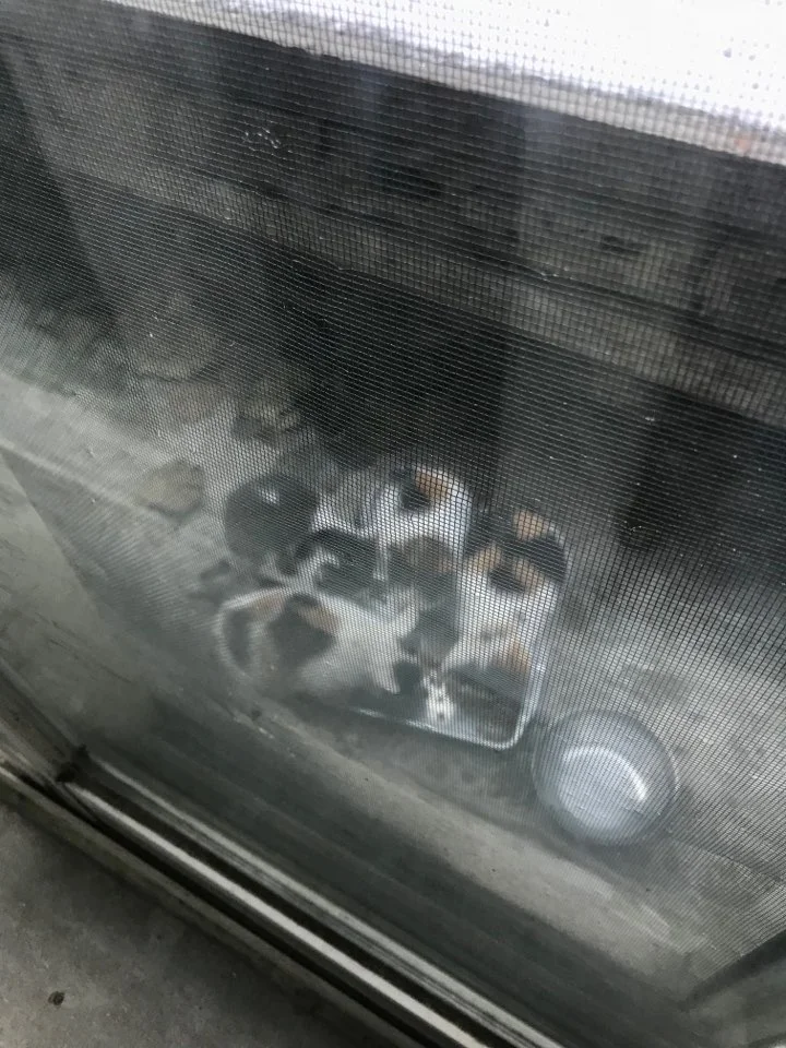 KakaoTalk_20200604_212501544.jpg?type=w773