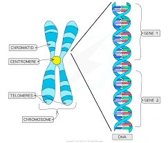 images?q=tbn:ANd9GcQLrrqLfRA6rstgyWxo_-zgvXkXYNnybdbt5w&amp;usqp=CAU