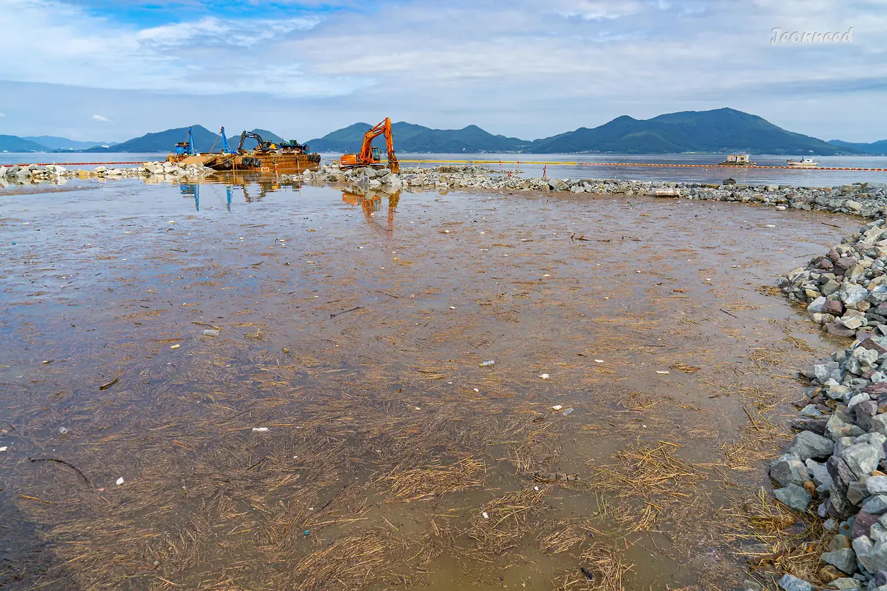 R4203943-향상됨-노이즈 감소.JPG