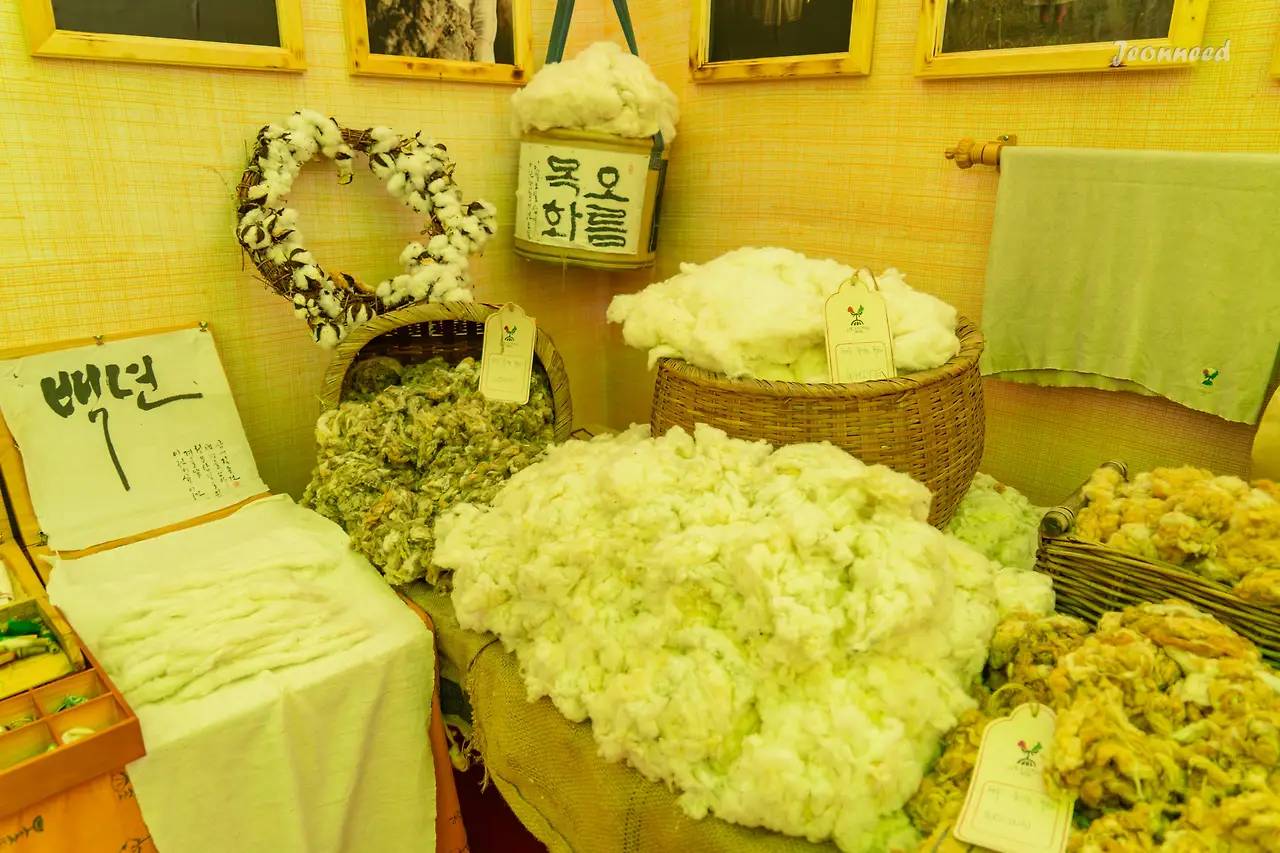 R4200557-향상됨-노이즈 감소.JPG