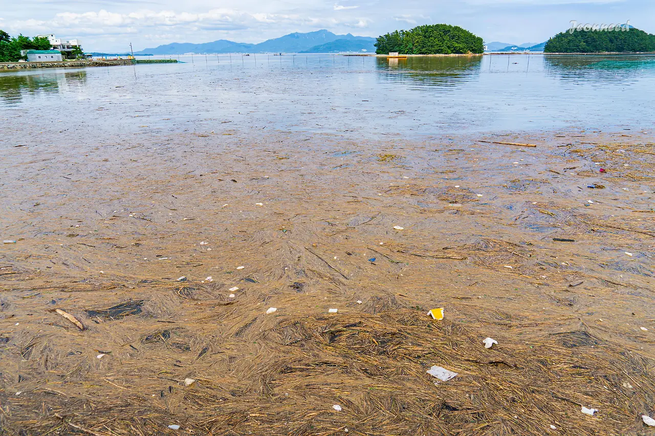 R4203921-향상됨-노이즈 감소.JPG