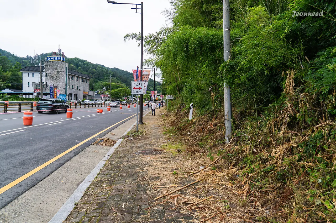 R4200399-향상됨-노이즈 감소.JPG