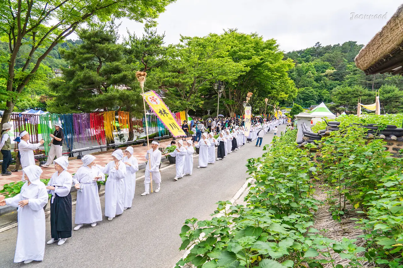 R4200850-향상됨-노이즈 감소.JPG