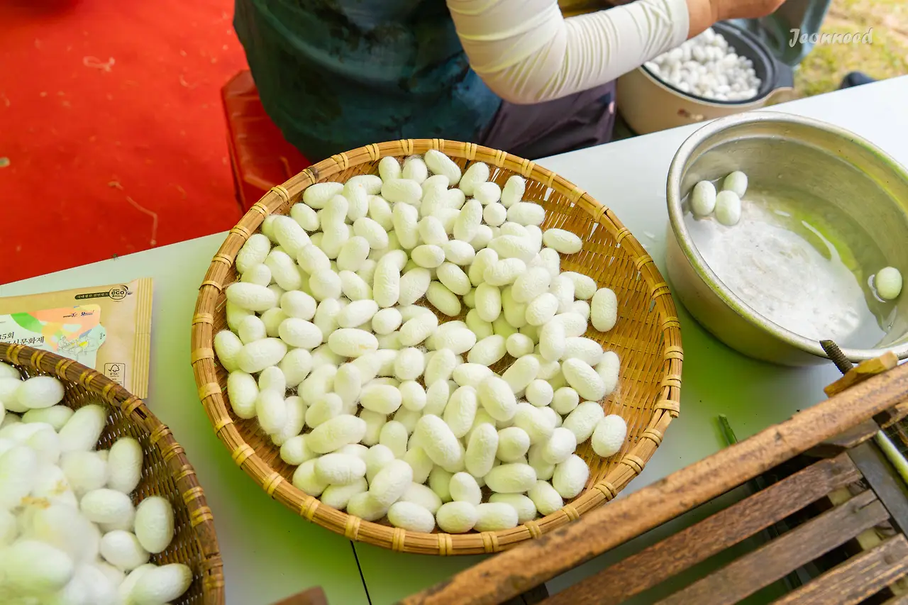 R4200520-향상됨-노이즈 감소.JPG