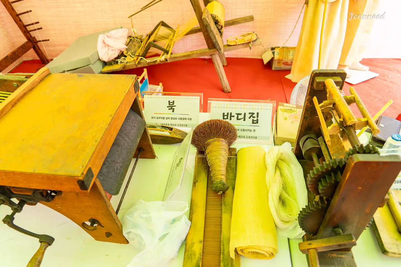 R4200545-향상됨-노이즈 감소.JPG