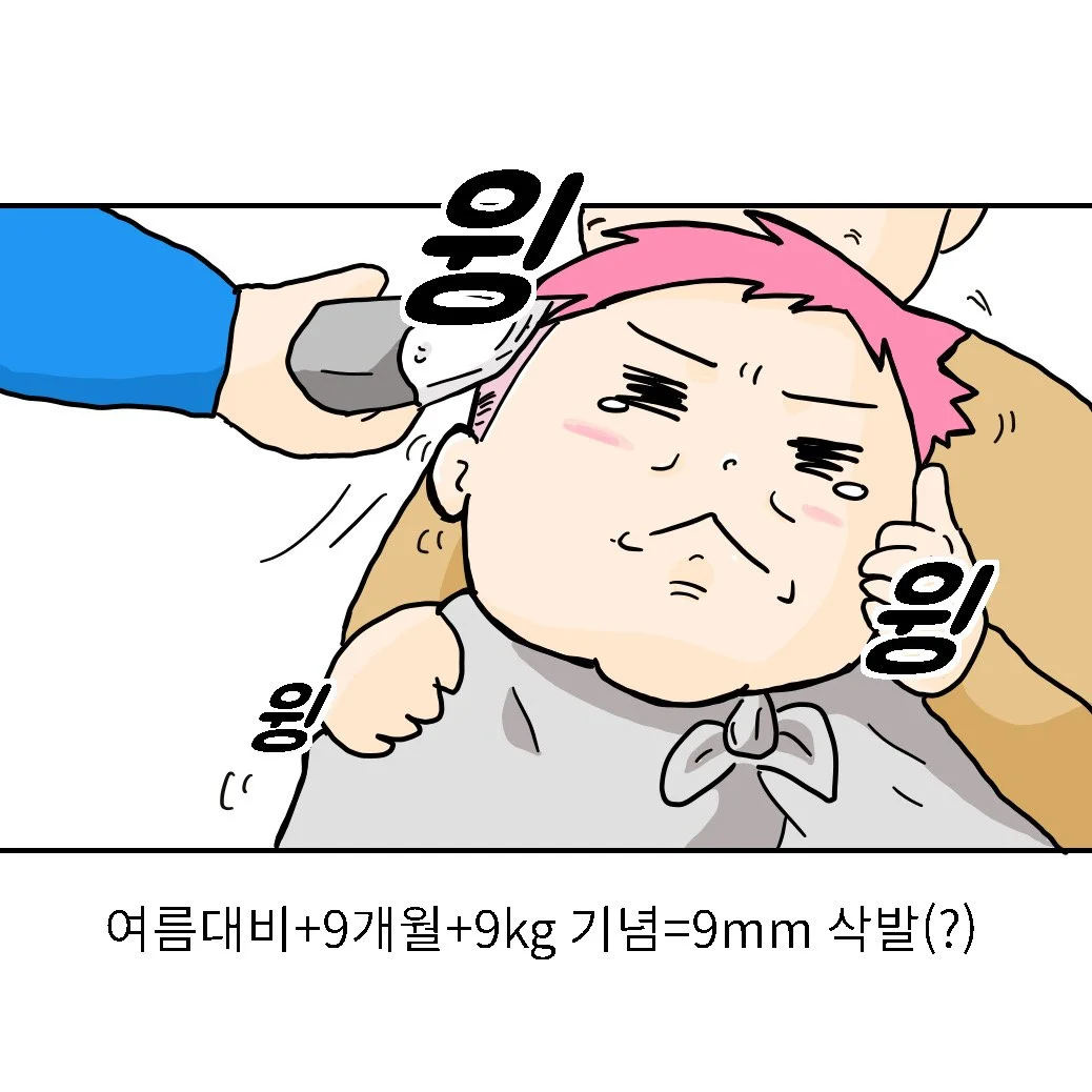 IMG_0446.JPG?type=w1200