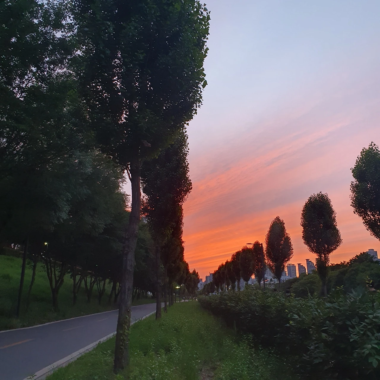 KakaoTalk_Photo_2023-06-06-18-07-07 001.jpeg