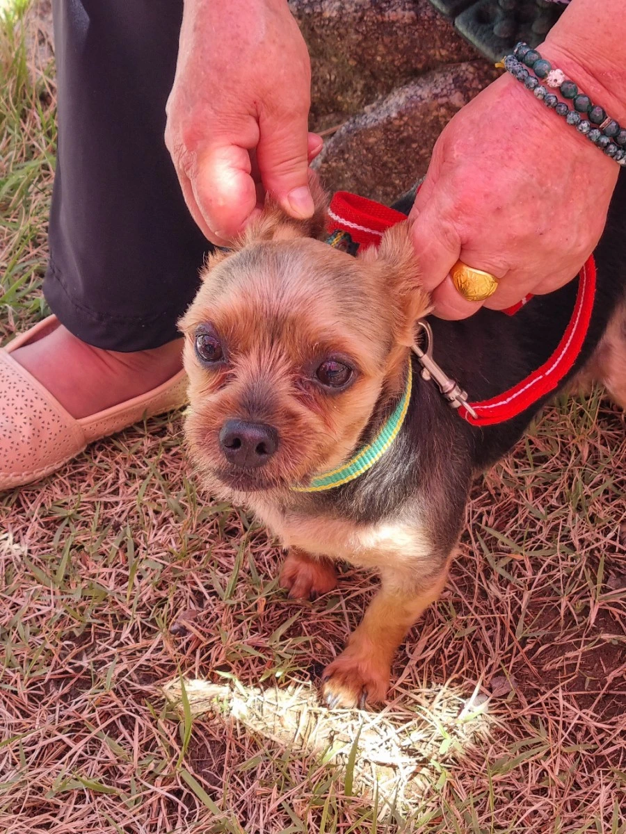 20210519%EF%BC%BF135730.jpg?type=w966