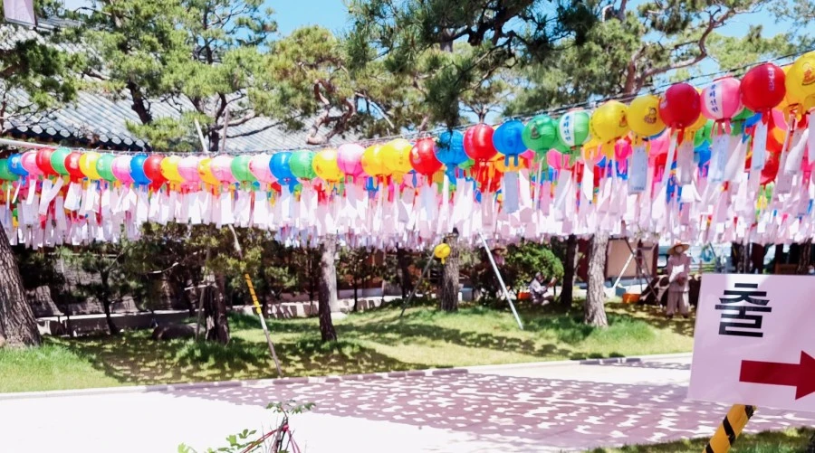 1621532833235.jpg?type=w966