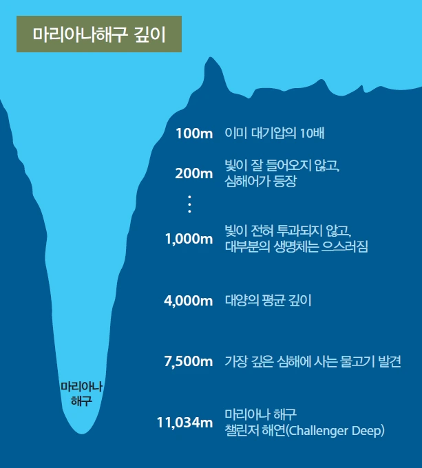 마리아나해구.PNG