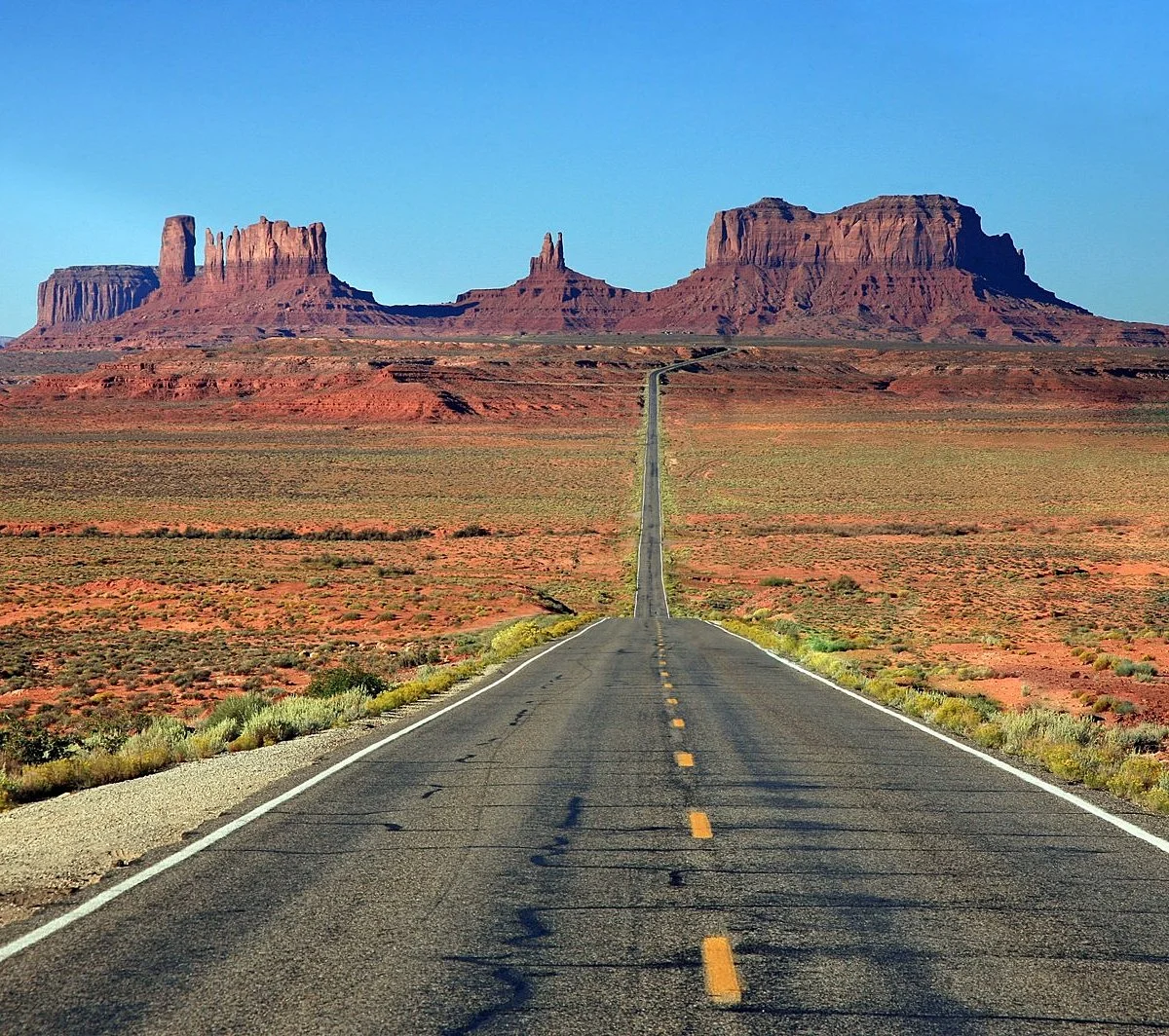 forrest-gump-point.jpg?w=1200&h=1200&s=1