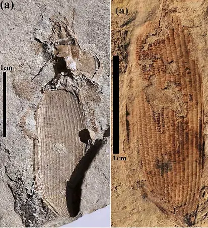 img.jpg?credential=yqXZFxpELC7KVnFOS48ylbz2pIh7yKj8&expires=1764514799&allow_ip=&allow_referer=&signature=bULtnaur%2BpZ4nCuz03zqO%2BmURSY%3D