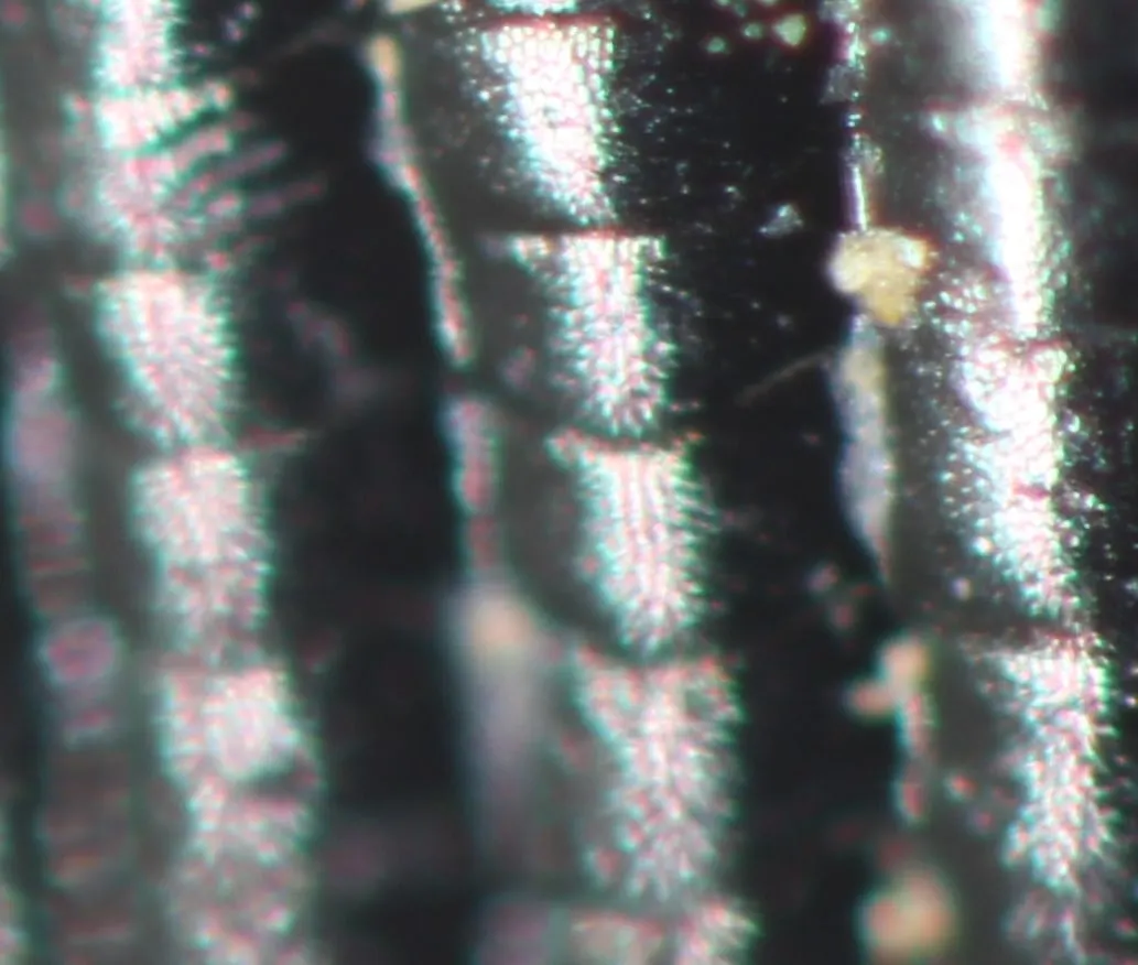 img.jpg?credential=yqXZFxpELC7KVnFOS48ylbz2pIh7yKj8&expires=1764514799&allow_ip=&allow_referer=&signature=z4XUkU3JXoqGKEtF6r5g9y5cn7Q%3D