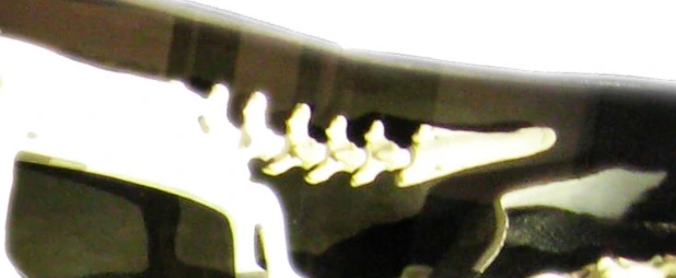 img.png?credential=yqXZFxpELC7KVnFOS48ylbz2pIh7yKj8&expires=1764514799&allow_ip=&allow_referer=&signature=ZmBMyJbFmwovqujXqsOhZ%2FOYwLY%3D