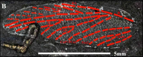 img.png?credential=yqXZFxpELC7KVnFOS48ylbz2pIh7yKj8&expires=1767193199&allow_ip=&allow_referer=&signature=aawaGDF9j90LQdab51oZ3QSmcqs%3D