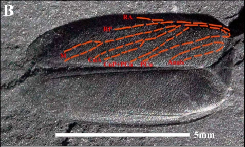 img.png?credential=yqXZFxpELC7KVnFOS48ylbz2pIh7yKj8&expires=1767193199&allow_ip=&allow_referer=&signature=JeddUNp2r5VgbSo1IVUZOH%2FXJg8%3D