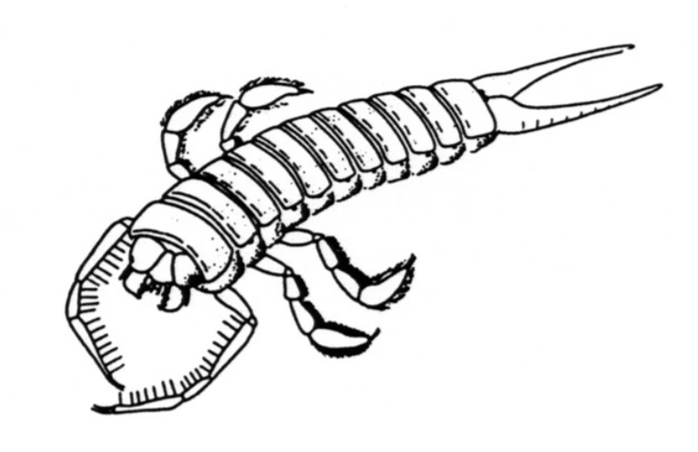 img.png?credential=yqXZFxpELC7KVnFOS48ylbz2pIh7yKj8&expires=1767193199&allow_ip=&allow_referer=&signature=NHUih6rg50kSXKPRIipCqxHVcow%3D