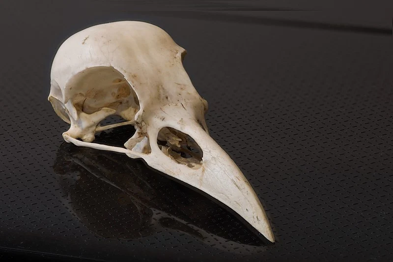 img.jpg?credential=yqXZFxpELC7KVnFOS48ylbz2pIh7yKj8&expires=1764514799&allow_ip=&allow_referer=&signature=lBXoonqYRnmoU35DtvvA54wNaqs%3D