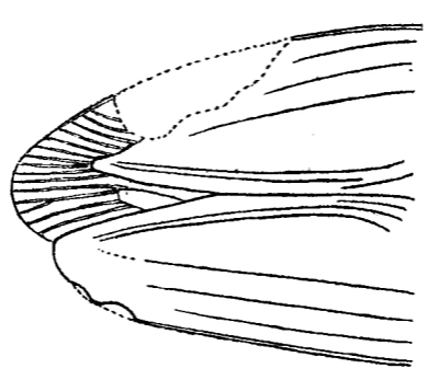 img.png?credential=yqXZFxpELC7KVnFOS48ylbz2pIh7yKj8&expires=1767193199&allow_ip=&allow_referer=&signature=BEgMgSv%2FavO6RflAHBEYOOhKV18%3D