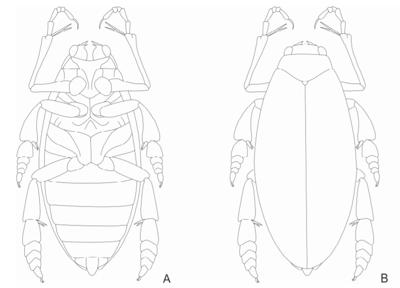img.png?credential=yqXZFxpELC7KVnFOS48ylbz2pIh7yKj8&expires=1767193199&allow_ip=&allow_referer=&signature=%2BSnvmb%2Fy2cwhw5rpPPBowlSEnq0%3D