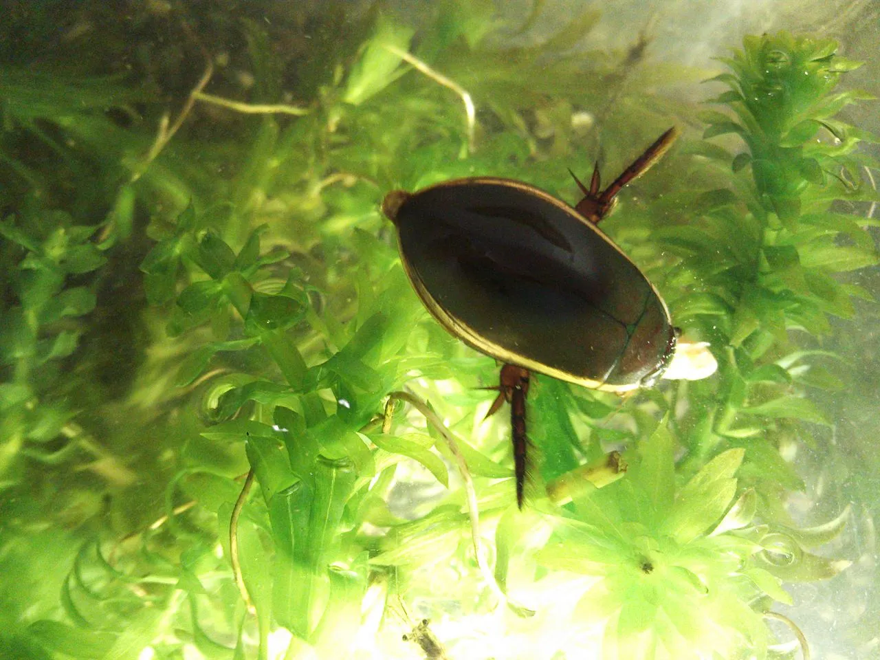 img.jpg?credential=yqXZFxpELC7KVnFOS48ylbz2pIh7yKj8&expires=1767193199&allow_ip=&allow_referer=&signature=19Wl%2FfY%2FTzy9k8Xv2Vj%2Bp0%2F21ZQ%3D