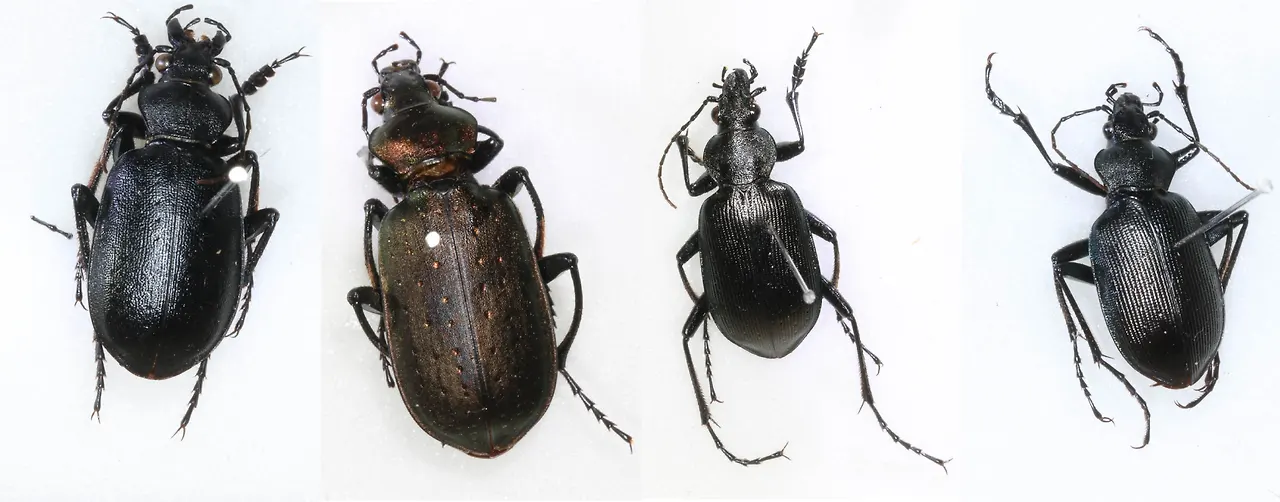 img.jpg?credential=yqXZFxpELC7KVnFOS48ylbz2pIh7yKj8&expires=1764514799&allow_ip=&allow_referer=&signature=24W%2F1DXKORBXqr5nqtEg73IMzro%3D