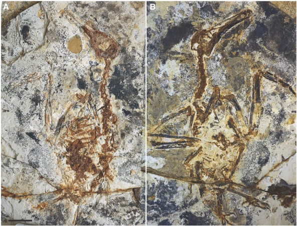 img.png?credential=yqXZFxpELC7KVnFOS48ylbz2pIh7yKj8&expires=1764514799&allow_ip=&allow_referer=&signature=WxYvKDO9qAwmMqrUUSdnp1IZVA0%3D