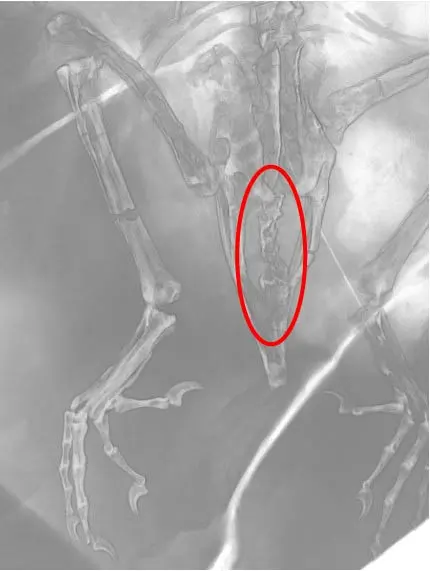 img.jpg?credential=yqXZFxpELC7KVnFOS48ylbz2pIh7yKj8&expires=1764514799&allow_ip=&allow_referer=&signature=6MeoL3dPHIjjXdvDLpY%2BuO%2FHgAM%3D