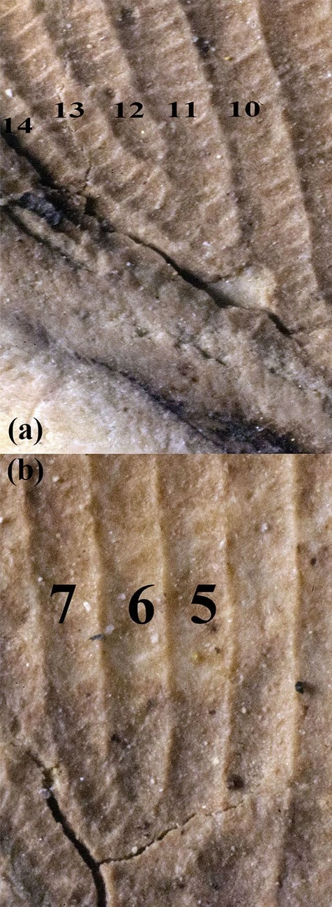 img.jpg?credential=yqXZFxpELC7KVnFOS48ylbz2pIh7yKj8&expires=1764514799&allow_ip=&allow_referer=&signature=GmDsfcWoJKV7dtzQMlQNsHIpZMk%3D