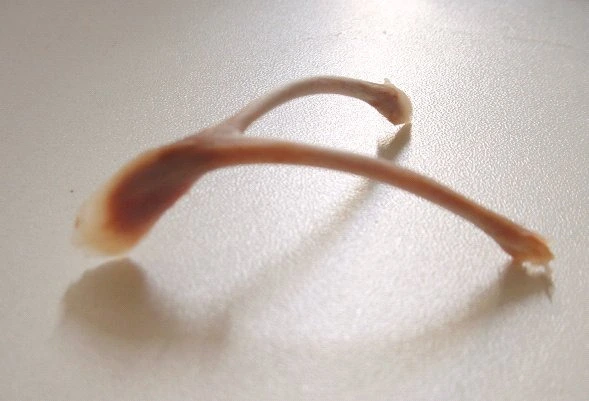 닭의 창사골.jpeg