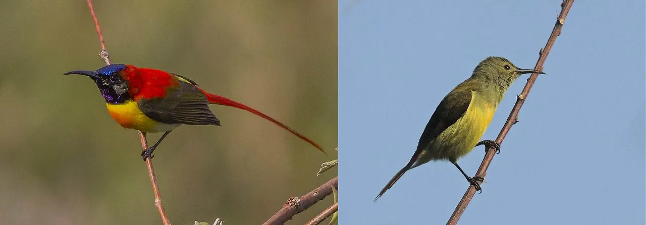 img.jpg?credential=yqXZFxpELC7KVnFOS48ylbz2pIh7yKj8&expires=1764514799&allow_ip=&allow_referer=&signature=B%2FgyIQM98Ae1Jk%2BlbD3xiPgYFEk%3D