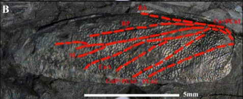 img.png?credential=yqXZFxpELC7KVnFOS48ylbz2pIh7yKj8&expires=1767193199&allow_ip=&allow_referer=&signature=qyMIst6sqbNmG4E02Y%2B3BHq5cGs%3D