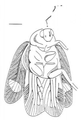 img.png?credential=yqXZFxpELC7KVnFOS48ylbz2pIh7yKj8&expires=1767193199&allow_ip=&allow_referer=&signature=bjoFIru0H9nSNdjPMvfomWVw5CY%3D