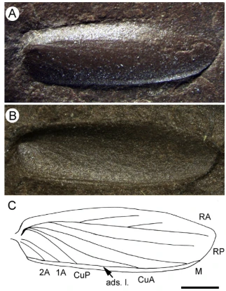 img.png?credential=yqXZFxpELC7KVnFOS48ylbz2pIh7yKj8&expires=1767193199&allow_ip=&allow_referer=&signature=BlDaZZIsC323lS%2B3707JZ2K4OSQ%3D