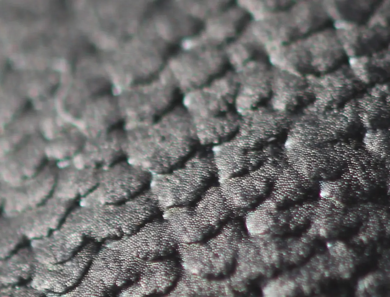 img.jpg?credential=yqXZFxpELC7KVnFOS48ylbz2pIh7yKj8&expires=1764514799&allow_ip=&allow_referer=&signature=JE09R4BjYGy1cPJkF0xbWNHmpF4%3D