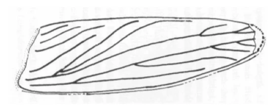 img.png?credential=yqXZFxpELC7KVnFOS48ylbz2pIh7yKj8&expires=1767193199&allow_ip=&allow_referer=&signature=NAPKx7SR%2FTiaUrl7gTmaZMPcRSo%3D