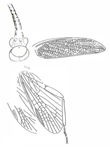 img.png?credential=yqXZFxpELC7KVnFOS48ylbz2pIh7yKj8&expires=1767193199&allow_ip=&allow_referer=&signature=vdWmL5B3FoGjAGnegQBSQtGnJ%2FY%3D