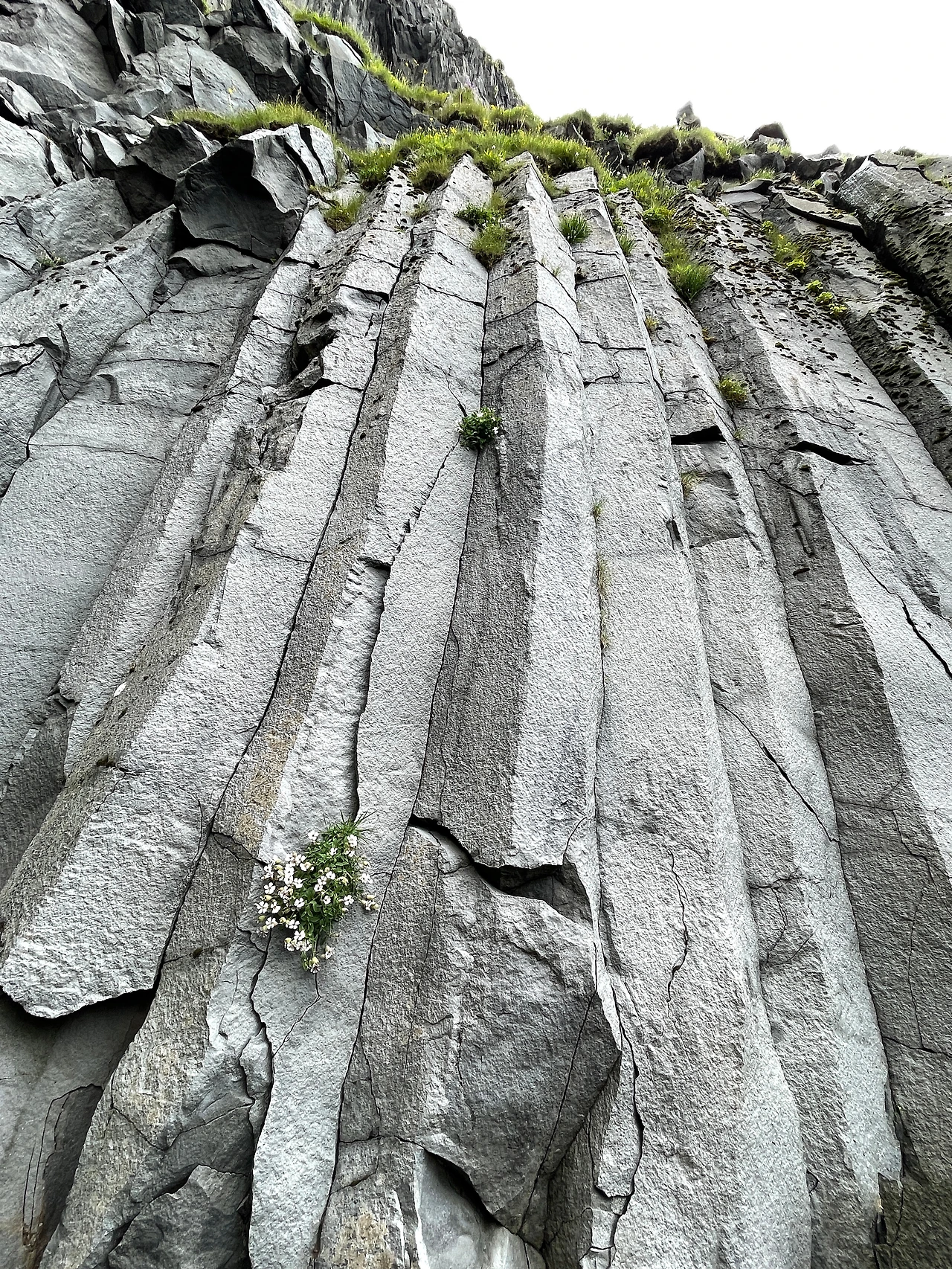 레이니스 1.jpeg