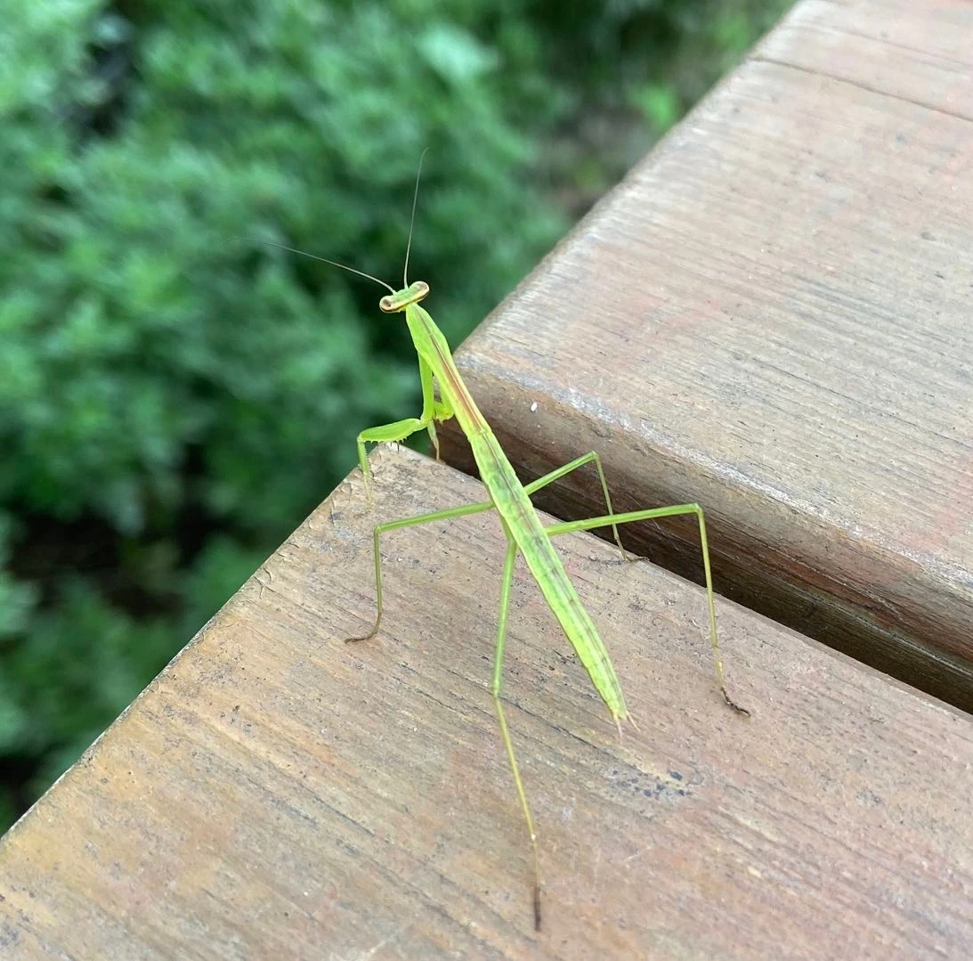 농사 8.jpeg