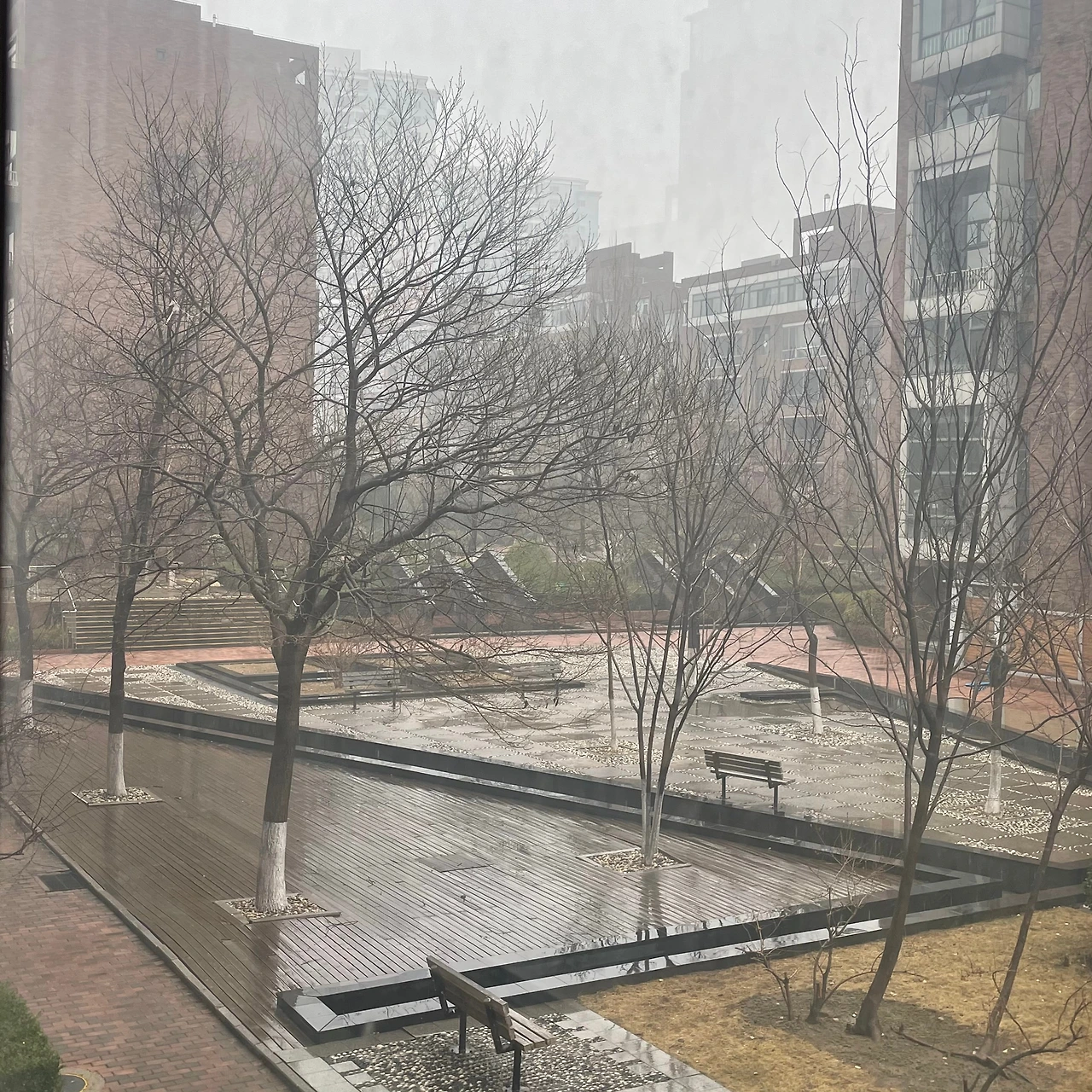 봄비 1.jpeg