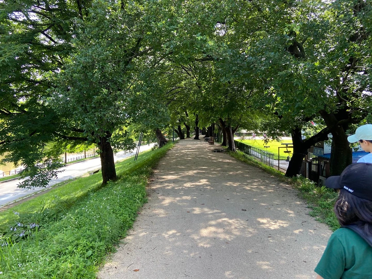 관방제림 1.jpeg