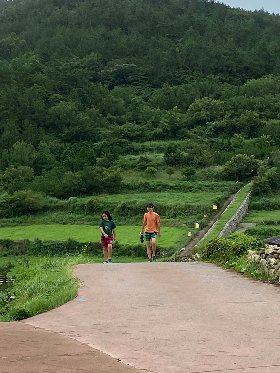 걷기 2.jpeg