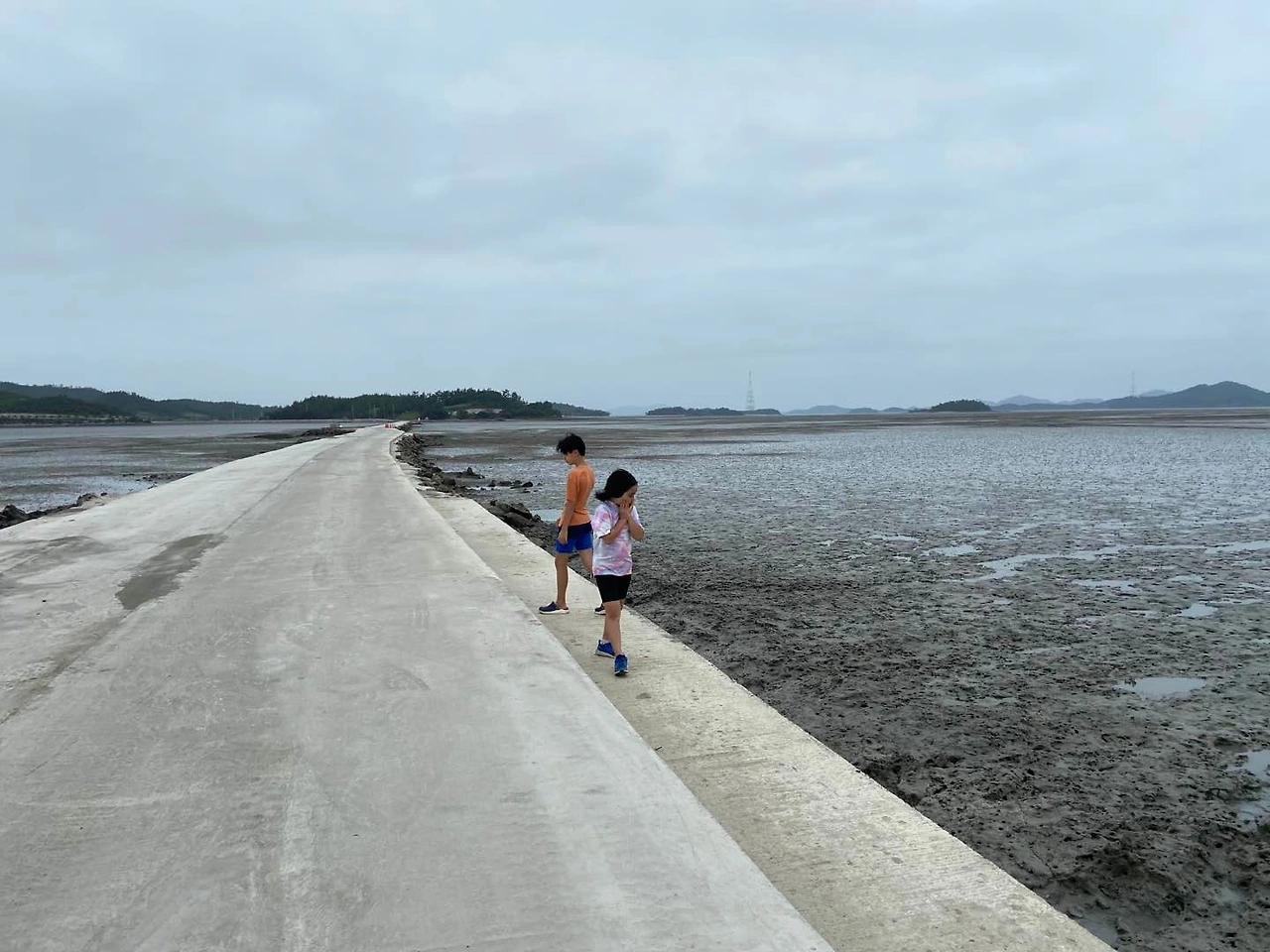 갯벌 2.jpeg