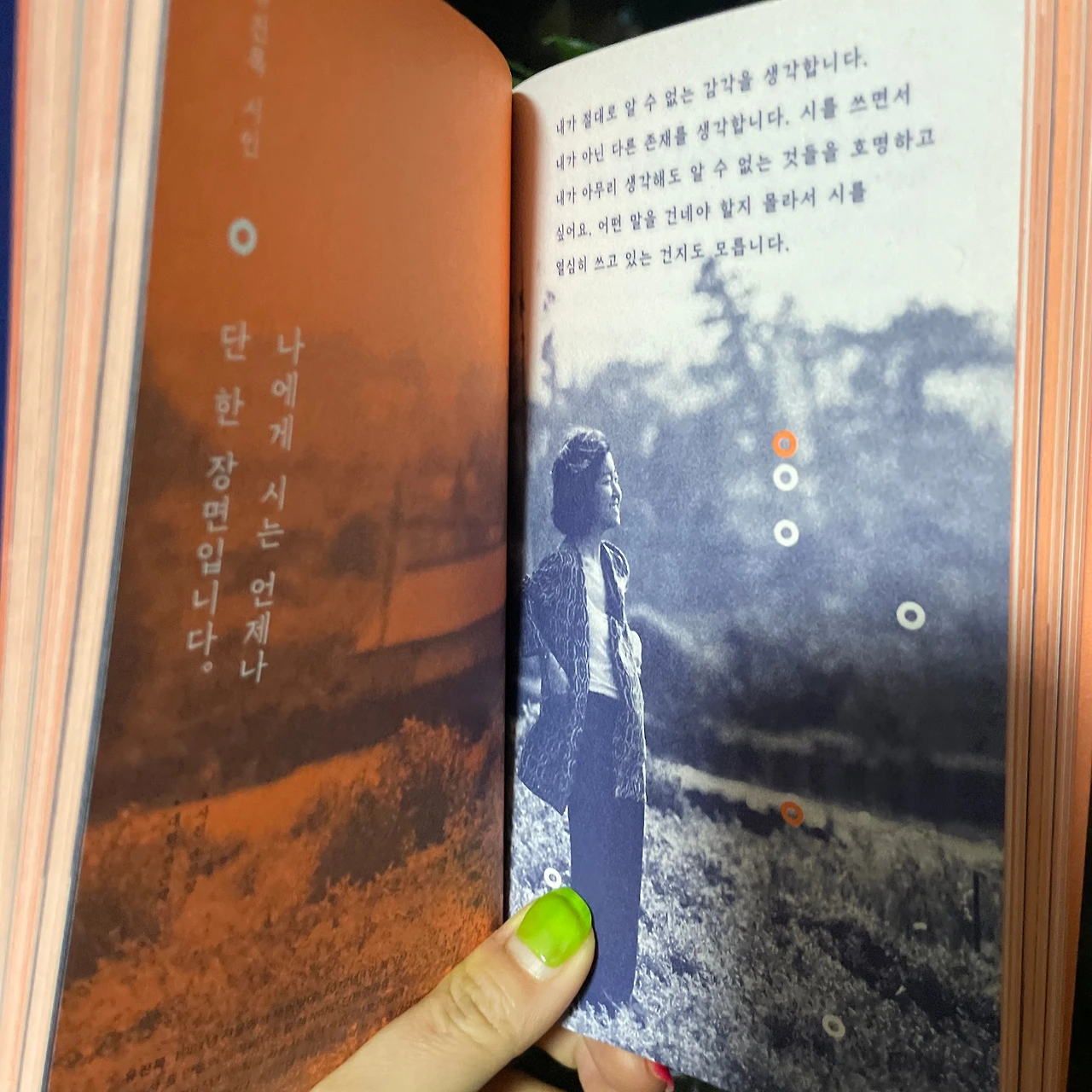 시인 1.jpeg